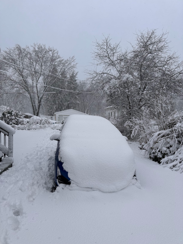 A car in a driveway. The car is covered in snow, which merges with the deep snow on the ground. In the background are trees covered in snow.