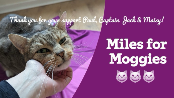 Thank you for supporting Miles For Moggies