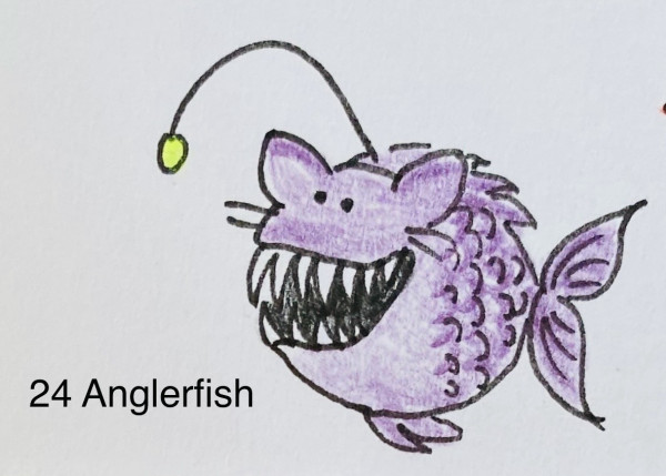 A drawing of a purple anglerfish with a toothy grin, cat ears and illuminated lure. The text "24 Anglerfish" appears next to it.