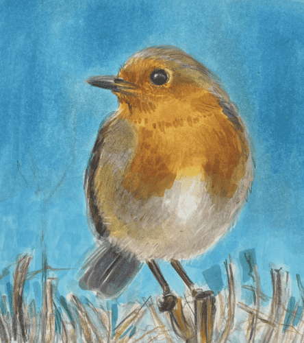 Drawing made with alcohol marker of an Eurasian robin in front a sky blue background Its head showed to the left
