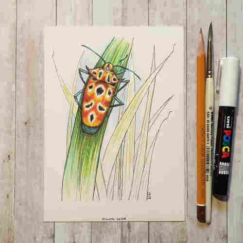 Original drawing - Shield Bug
A colour drawing of a shield bug sitting on a blade of grass.
Materials: colour pencil, mixed media, acid free cream coloured artist paper
Width: 5 inches
Height: 7 inches

