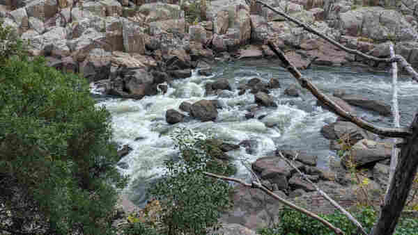 The low river level in Cataract Gorge has exposed a series of large rocks that someone might be able to use to cross the river. The water churn about them in violent rapids.