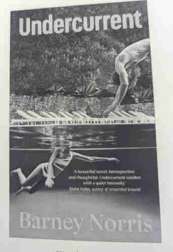 Photo of the e-book cover. A drawing of a girl swimming with her head mainly under water. A boy is diving into the pool.