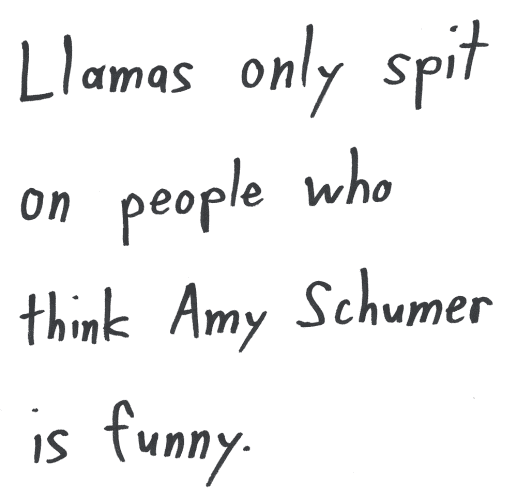 Llamas only spit on people who think Amy Schumer is funny.