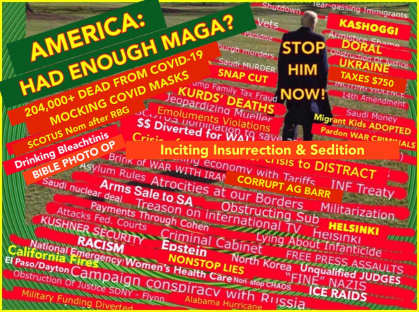 Meme of Trump walking across a grassy field covered in red lines labeled with his more flagrant abuses while in office. He is seen from the back and is labeled “STOP HIM NOW” The upper left corner text reads, “AMERICA: HAD ENOUGH MAGA?”