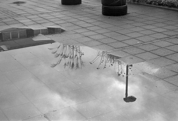 A large puddle in the town square reflects planters added to "beautify" the area, and a street light. Black and white photo.