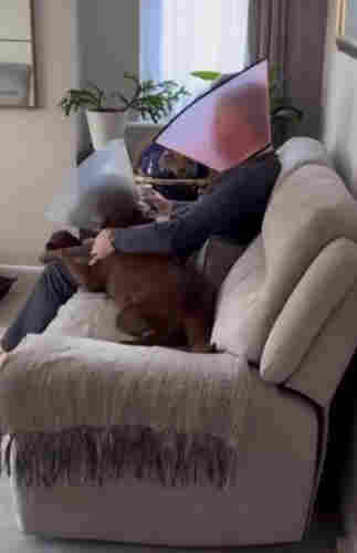 A man and a dog, each wearing a plastic e-collar, are on the couch. Man has his arm on the dog's back for comfort. 