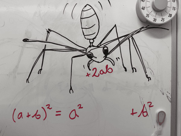 Whiteboard drawing of an ant stealing 2ab from the binomial (a+b)^2