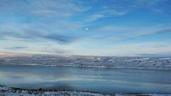 A photo of a landscape. The foreground is the near shore of a fjord, with snow and ice covering about fifty percent of it. Some fences can be seen, lending scale. The water beyond is partly surfaced with thin ice in sheets, blurring the reflections. The far bank is near the centre of the shot, and has snow and ice cover in the same way as the foreground, but southwest-facing slopes are lit from the right. There are some farm buildings directly opposite the viewpoint. The sky above has some fine, streaky cloud but is otherwise clear. In the top centre of the shot is the waxing gibbous moon.