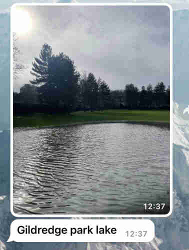 Sfreenshot of WhatsApp messages, a photo of a very large puddle/lake in our local park, underneath the message “Gildredge Park lake”
