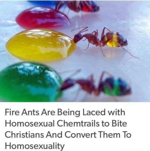 image of an article that has an image of a couple of ants eating colored jelly which changes the color of their body. the headline is "Fire Ants Are Being Laced with Homosexual Chemtrails to Bite Christians And Convert Them To Homosexuality"