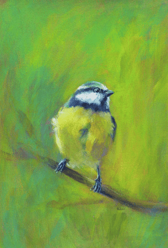 Portrait of Eurasian Blue Tit is a portrait format acrylic painting by artist Karen Kaspar. A small blue tit sits on a branch and attentively looks to the right. The background is abstracted in different shades of green.