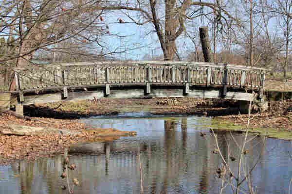 Wooden walking bridge over a small pond surrounded by leafless trees reflecting on the surface of the pond. The ground is mostly covered in dried brown leaves. Around the edge of the pond is green plant life floating on the surface of the water. The sky overhead is blue. 
