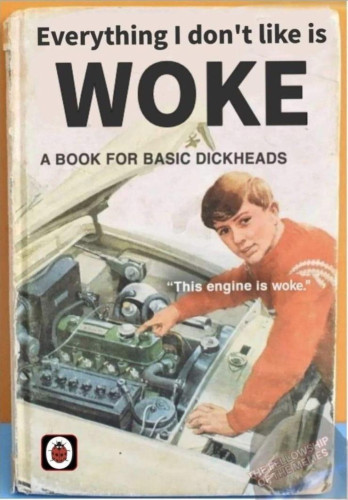 A mocking, fake user's guide titled, “Everything I don't like is WOKE. A book for basic dickheads.” It contains an old-school illustration of a guy pointing at the engine of an old car with its hood up and saying, “This engine is woke.”