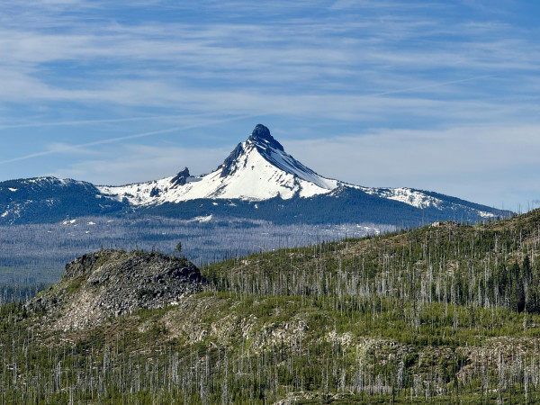 Mount Washington. The volcano has a wide and flat rocky face that is covered in snow. Miles of burnt forest between the viewer and the mountain. Green forest leads to gray trees. Blue sky with large streaks of gray clouds. 