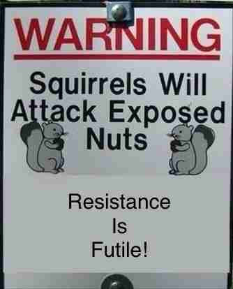 Picture a sign showing two squirrels holding nuts facing each other. The caption reads:
“Squirrels will attack Exposed nuts, Resistance is Futile !”