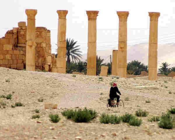 View of the ruins of Palmyra, Syria.
Taking up the top half of the image are five ancient pillars. Behind them are the remains of a building, some palm trees and sand dunes.

The bottom half is a bit road through a dried out landscape. A lone cyclist with a bright red headscarf is on the road.