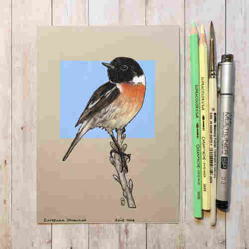 Original drawing - Stonechat Bird
A colour drawing of a stonechat, a little black white and brown bird sitting on a branch, with a blue background.
Materials: colour pencil, mixed media, acid free beige pastel paper
Width: 5 inches
Height: 7 inches