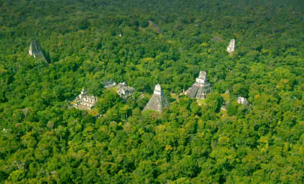 Aerial photo of a South American jungle, sprinkled with the ruins of 9 high-rise buildings – all that remains of New York, Paris, Tokyo once the fabric of our global high-tech civilisation rips apart from unprepared and unsolidary societies, incapable of cushioning the blows to their hard and soft infrastructure.