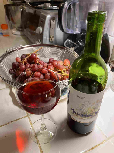 An opened bottle of homemade muscadine wine stands next to a glass of the reddish wine, with a mesh colander of store-bought red seedless grapes behind them.