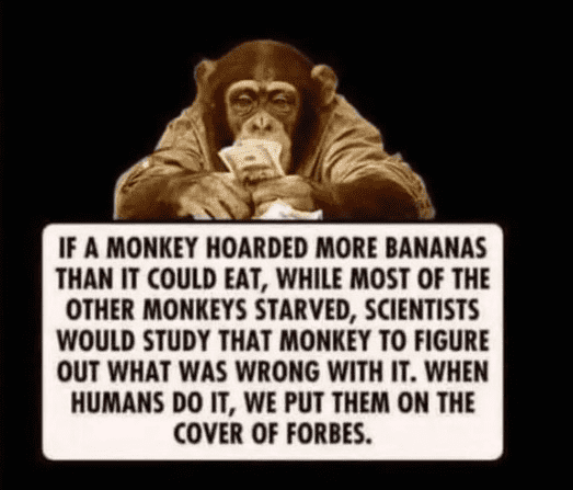 IF A MONKEY HOARDED MORE BANANAS THAN IT COULD EAT, WHILE MOST OF THE OTHER MONKEYS STARVED, SCIENTISTS WOULD STUDY THAT MONKEY TO FIGURE OUT WHAT WAS WRONG WITH IT. WHEN HUMANS DO IT, WE PUT THEM ON THE COVER OF FORBES.