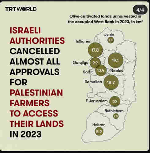 Israeli authorities cancelled almost all approvals for Palestinian farmers to access their lands in 2023