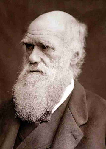 An 1877 monochrome photographic portrait of Charles Darwin.