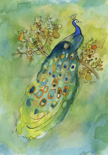 A rectangle-formatted peacock watercolor painting is depicted in a loose style. The peacock is perched on a branch that bears pears and delicate flowers. The background is a wash of bluish-green, with a lot of line work used to create the image. The peacock is shown from the back, its full body visible, and its feathers are simplified in style.