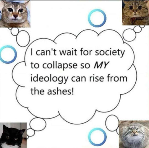 four cats thinking "i cant wait for society to collapse so MY ideology can rise from the ashes!"
