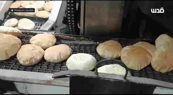 Bakery in northern Gaza was able to bake bread for the first time in 6 months