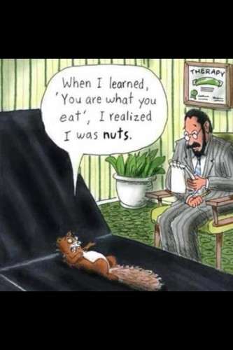 Picture a cartoon of a squirrel in a therapists office. 
The squirrel is laid on the therapists couch on the left of frame with the therapist sat to his right holding a note pad.
There is a green plant in the top right hand corner of the room & a framed therapy certificate on the wall behind the therapist.
The squirrel is saying:
“When I learned, ‘You are what you eat', I realized I was nuts.”