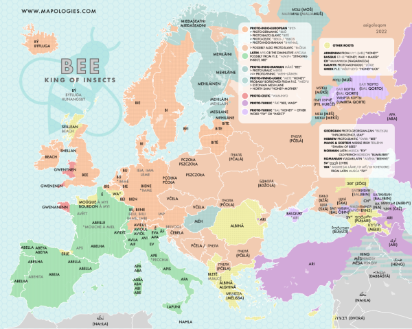 Etymology map of the insect bee