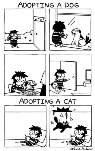 A Sarah's Scribbles webcomic in two parts. The first part is titled "Adopting a Dog".
Panel one: a cheerful woman strides into an animal shelter.
Panel two: she looks at a dog through some glass.
Panel three: she fills out adoption paperwork.
Panel four: she comes home with her cute dog.

The second part is titled "Adopting a Cat". The first panel has the woman relaxing in bed with a book. The last panel shows a black cat falling through the ceiling above her. 