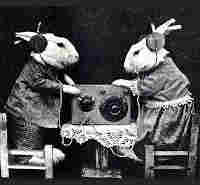 Black and white photo of two dressed white rabbits, standing on little white chairs with head phones on, with a table between them with a radio on it, to a black background. 