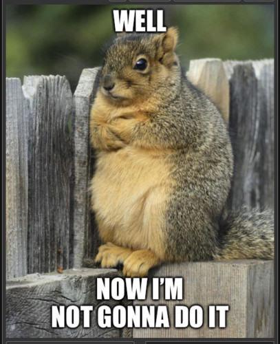 Photo of a squirrel with his arms folded across his chest while sitting on a fence. Caption reads, “Well, now I’m not gonna do it.”