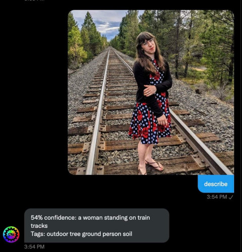 screenshot of Twitter DMs with my alt text bot. I send an image of me with long brown hair in bands and cascading down each shoulder, wearing a rose and polkadot dress with a black sweater, standing on train tracks extending way off into the woods in a straight line behind me. I'm smiling a little and looking joyful. I say "describe". The bot responds 54% confidence: a woman standing on train tracks

Tags: outdoor tree ground person soil
