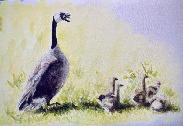 Watercolor painting of baby geese next to a mother goose hissing at the observer