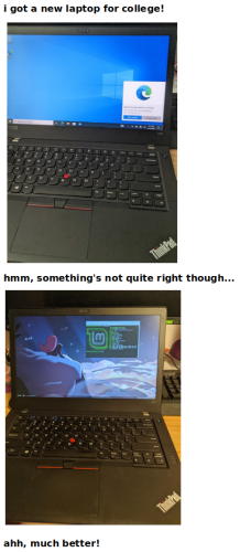 Somebody got a new laptop for college, but it came with Windows 10 OS. So, they replaced Windows 10 with Linux Mint.  https://www.tumblr.com/penguinspy2435/728497670424002560/i-got-a-new-laptop-for-college-hmm-somethings