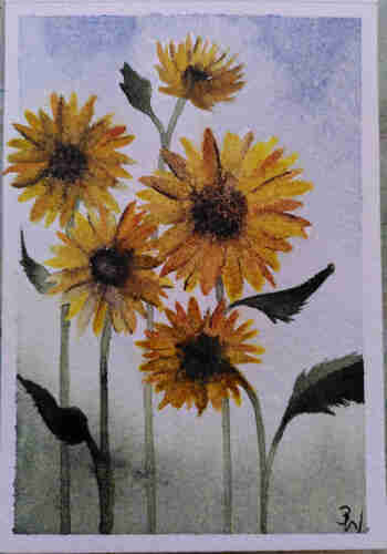 Aquarell fünf Sonnenblumen