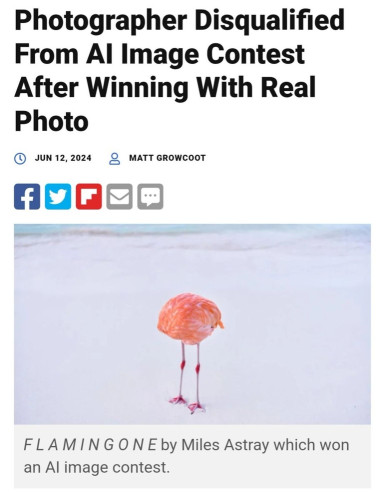 Screenshot of article titled "Photographer Disqualified From AI Image Contest After Winning With Real Photo".

It shows a flamingo hiding it's head completely, just standing on a white sandy beach.