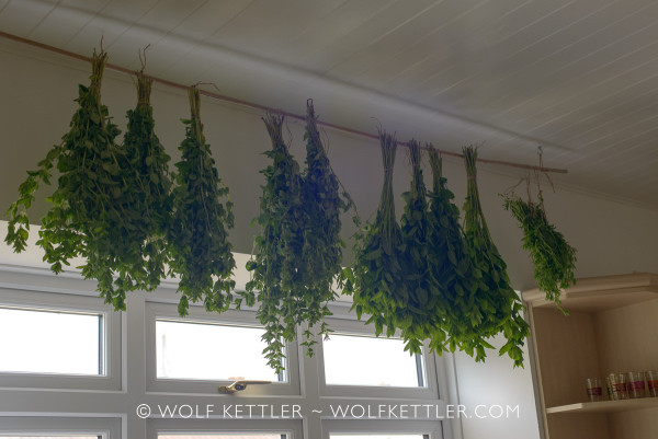 The photograph shows several bunches of herbs hung to dry from the kitchen ceiling. From left to right: Greek oregano, marjoram, Moroccan mint and savoury.