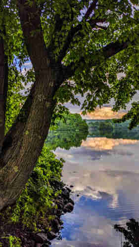 Standing beside a cluster of trees growing together as one large tree leaning out over a lake. A stray raindrop makes a single ripple in the lake beside me. The sky above me, also reflected in the lake, is partly cloudy. Above the wooded far shore, thunderheads that missed me by a few miles to the south are tinted pale gold and orange by the setting sun.