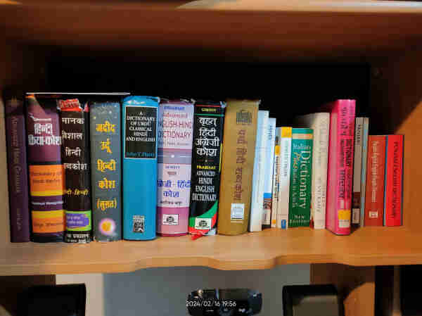 A collection of dictionaries and language learning books in various Indo-European languages, most of Indic languages - Hindi and Panjabi 