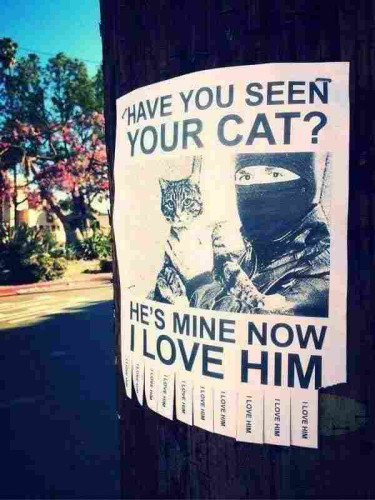 Lost pet style sign on a telephone pole. Only it's a picture of a cat being held by a person wearing a balaclava and it says "Have You Seen YOUR CAT?
He's Mine Now
I LOVE HIM" 

The strips of paper cut at the bottom that would normally have a phone number just say "I love him." One has been torn away