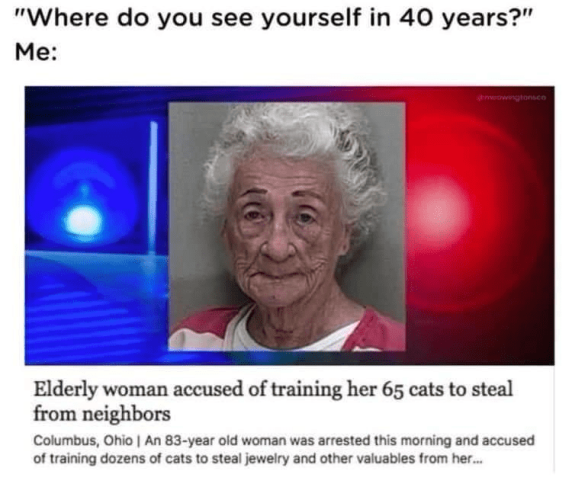 "Where do you see yourself in 40 years?" Me: Elderly woman accused of training her 65 cats to steal from neighbors Columbus, Ohio | An 83-year old woman was arrested this morning and accused of training dozens of cats to steal jewelry and other valuables from her...