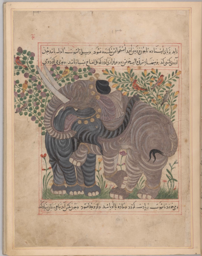 “Pair of elephants; in background, birds in flowering plants.” manuscript leaf with miniature painting and Persian script on top and bottom