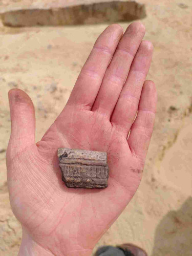 Photo of a hand holding a sherd of pottery