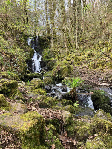 Photo of a smallish waterfall tumbling down a wooded hillside through mossy granite boulders. Ferns sprout from the ground, still scattered with fallen brown leaves, and on and between the rocks. The trees all around are greening up but blue sky is just visible through the branches at the top of the slope. To the below right of centre, a large clump of ferns marks the edge of a footpath over which the stream also flows before falling again to the river below and out of shot. The little stream is swollen by much recent rain, making it more than a hop-skip over on the path.