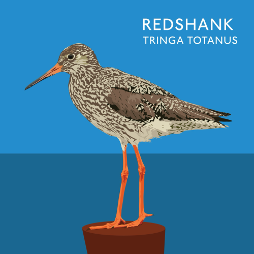 Illustration of a redshank on a wooden post against a blue background 