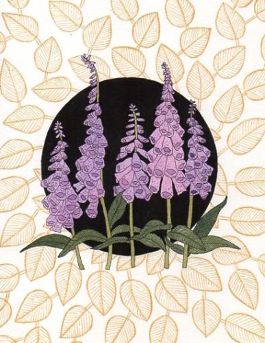 An ink and watercolour illustration of five pink and purple foxgloves on a black circle surrounded by gold leaves that fill the rest of the page.